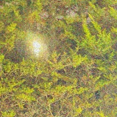 Core