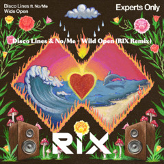 Disco Lines & No/Me - Wild Open (RIX Remix) [FREE DOWNLOAD]