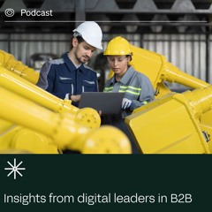 Experience Innovation Stories: Insights from Digital Leaders in B2B