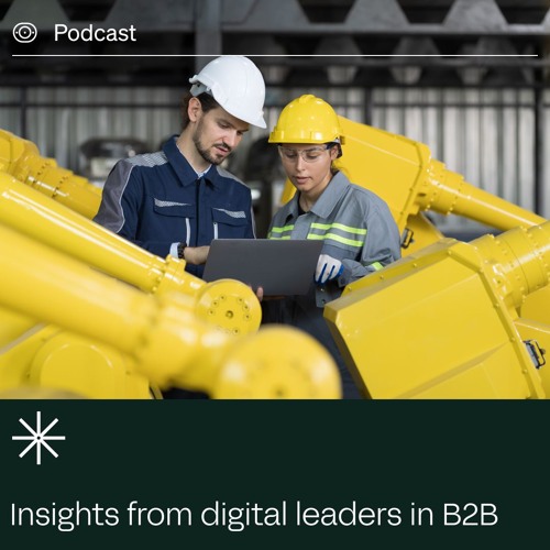 Experience Innovation Stories: Insights from Digital Leaders in B2B