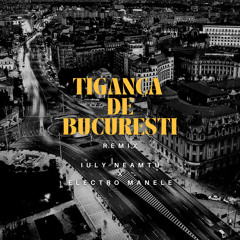 Tiganca de Bucuresti (Remix)