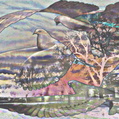 VANQUISHED IN YOUR CITADEL