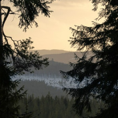 Kulning