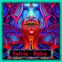 Salvia - Baku