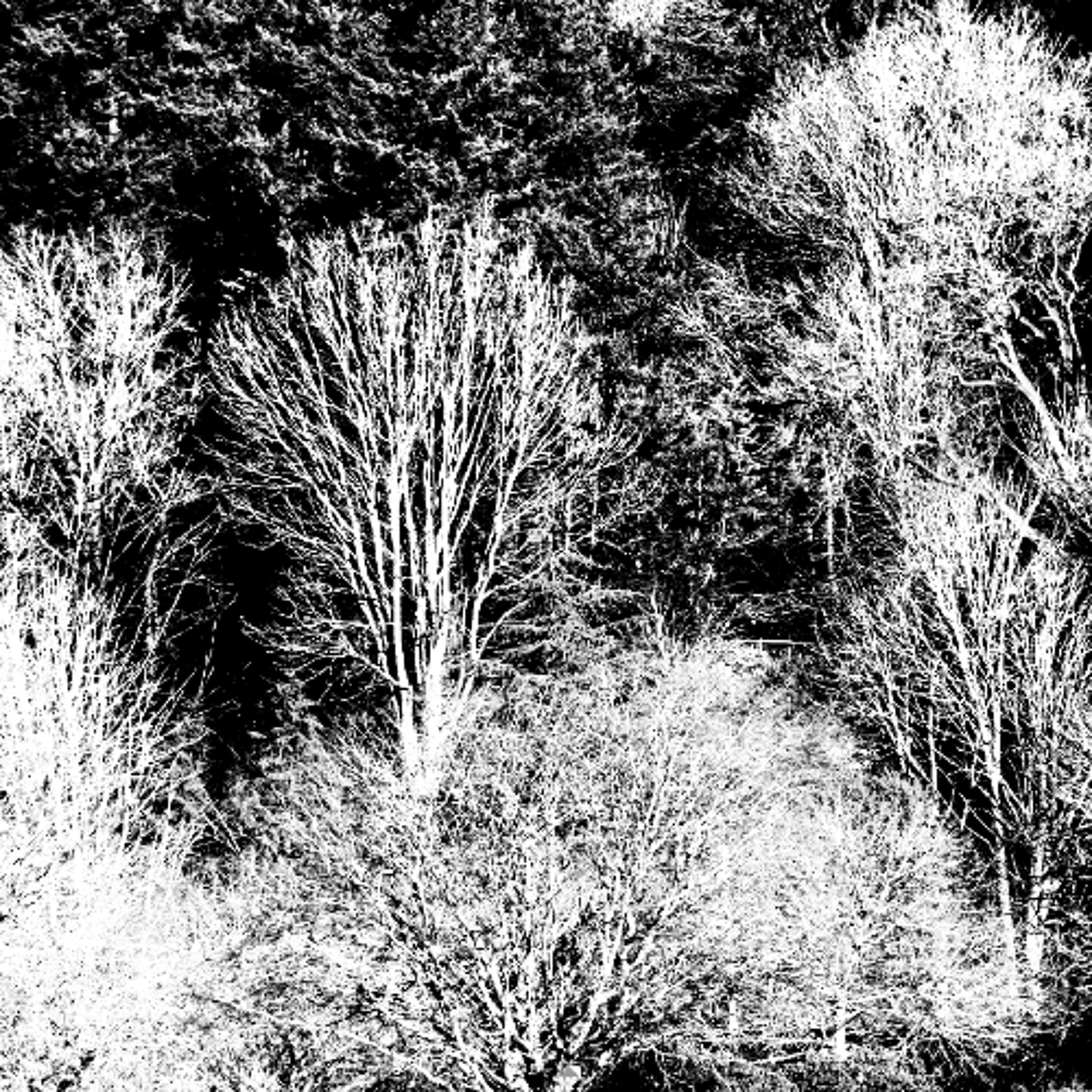145 Chimes 260412 [260412] episode artwork