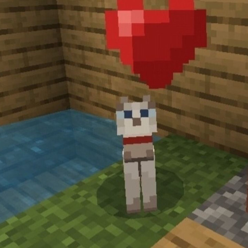 minecraft cat (quintuple)