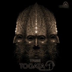 Togata - Tribe (PAO1DW332 Parabola Music)