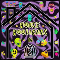 Dancefestopia Yellow Brick Road Tour 2024 Submission Mix - House Hooligans 14