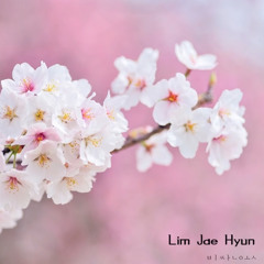 비싼옷 -임재현