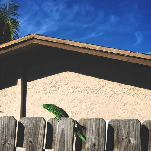 PALMETTO