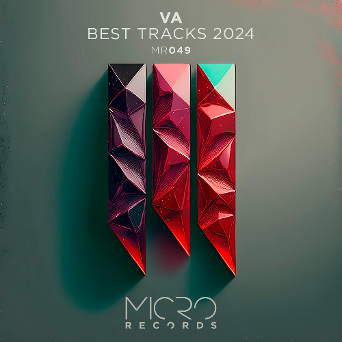 Various Artists - Best Tracks Micro Records 2024