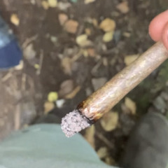 #16 JKid X T1 - Casual