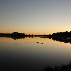 Auszug  20.11.20 ( Only Vinyl )