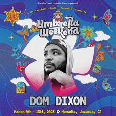 Live at Umbrella Weekend 2023