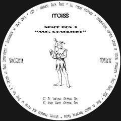 Spice Boy J - Mr. Starlight (Original Mix)