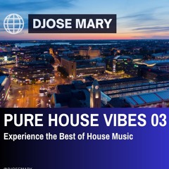 Pure House Vibe 2025 #03