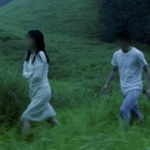 crane - true