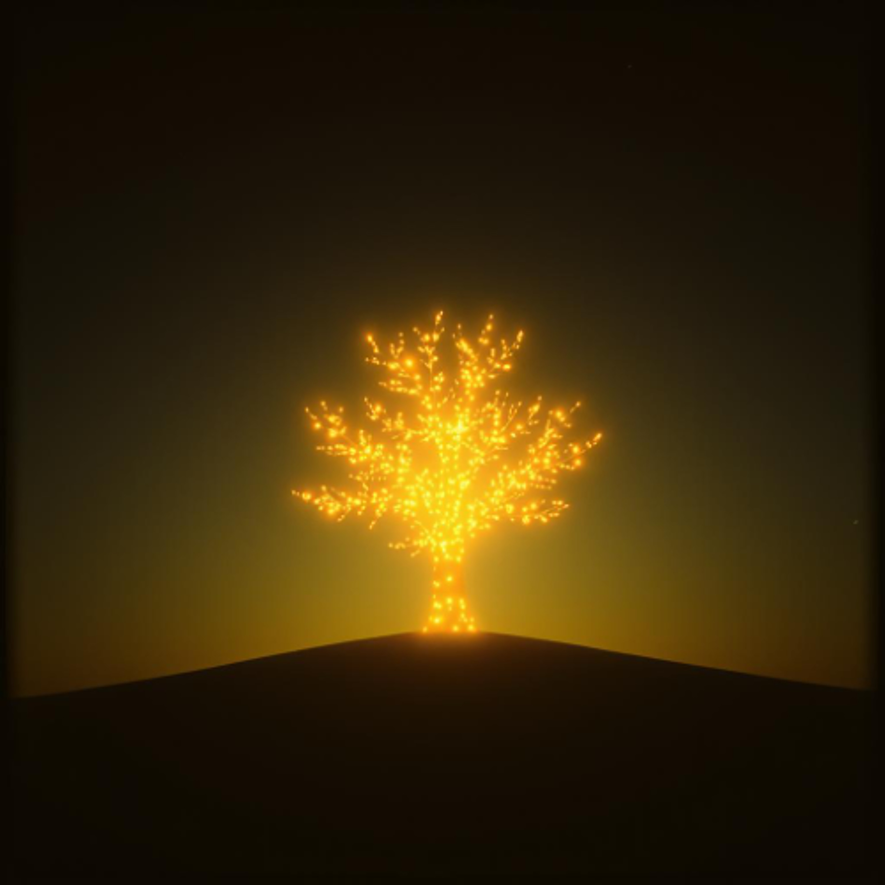 Brothers And Sisters