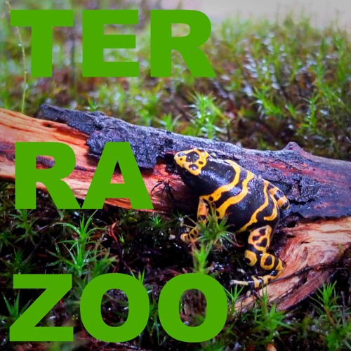 TerraZoo_ReptilesAnd More(SOE009)_Demo