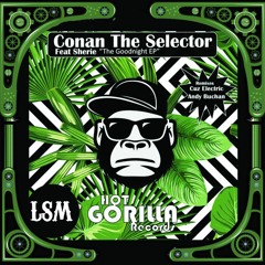 Advent Day 8: Conan The Selector - Don't Say Goodnight (Andy Buchan Remix)