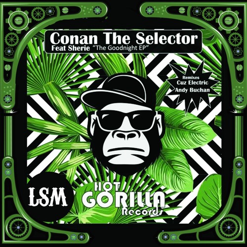 Advent Day 8: Conan The Selector - Don't Say Goodnight (Andy Buchan Remix)