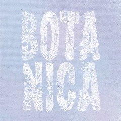 THE PARTY IS HERE EP - BOTA002