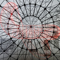 Symbiosis