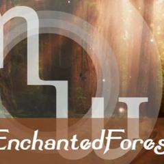 Enhanted Forest