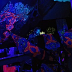 Psymera Festival Set - 28th May 2022