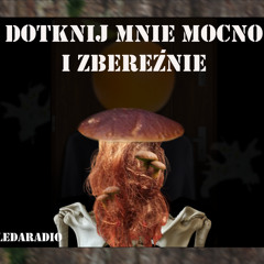 Z Bogiem, Ledo...