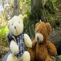 teddy bear band & bp iv - polar bear autumn