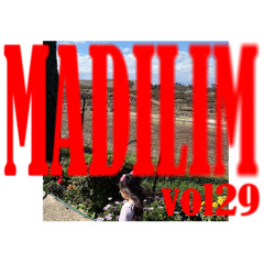 MADILIM Vol29 [Minimal/Techno Mix]