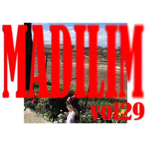 MADILIM Vol29 [Minimal/Techno Mix]