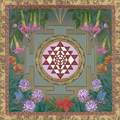 Live composing experiment Cello Mix 7, for Willa