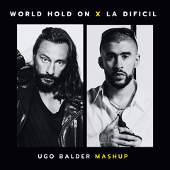 World Hold On X La Dificil (Ugo Balder Mashup) *PREVIEW PITCHED DOWN DUE TO COPYRIGHT*