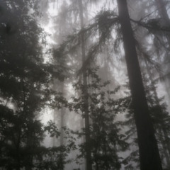 promises of a synced sorrow