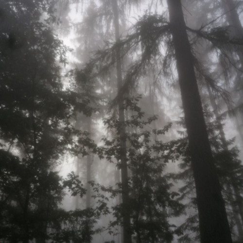 promises of a synced sorrow