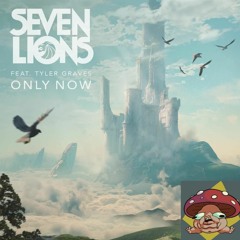 Seven Lions - Only Now (Shroomunist Remix)