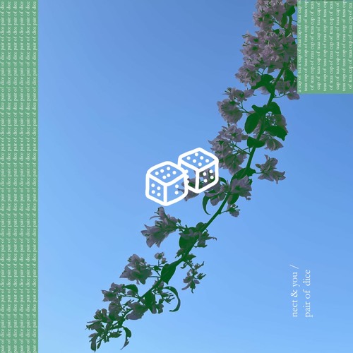 nect & you - pair of dice