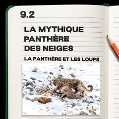 #9.2 La mythique Panthère des neiges