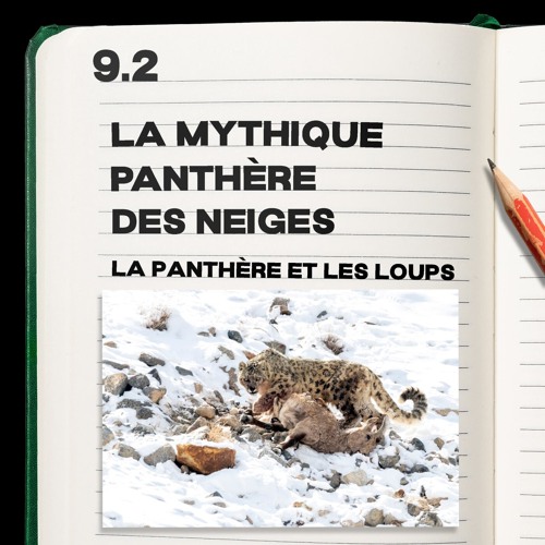#9.2 La mythique Panthère des neiges
