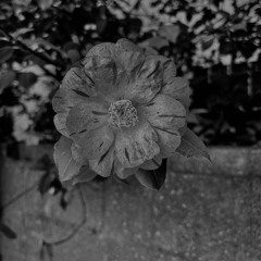 She don't even know me