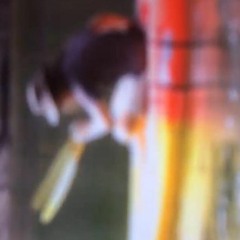 Up stream in the sun with no hat.