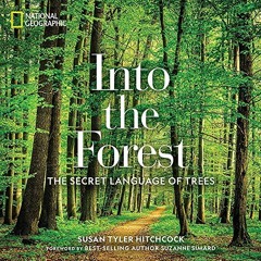 [Access] EBOOK EPUB KINDLE PDF Into the Forest: The Secret Language of Trees by  Susa