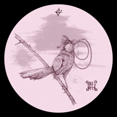 PREMIERE: Bunny Ross - Euphoric Cut [Restless Planet]