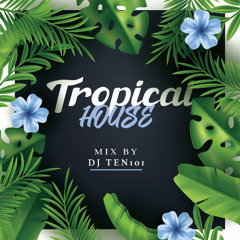TropicalHouseMix