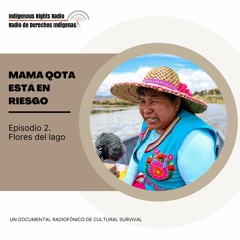 Mama Qota está en riesgo: flores del lago