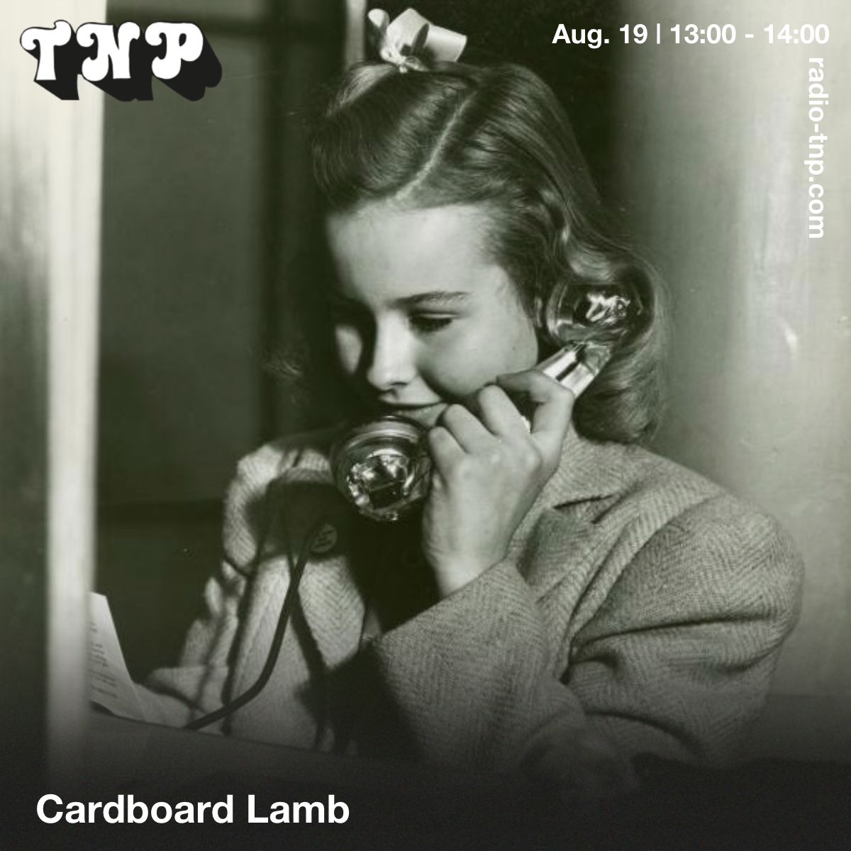 Cardboard Lamb