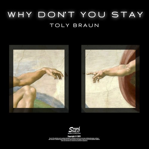 Toly Braun - Why Don't You Stay (Original Mix)