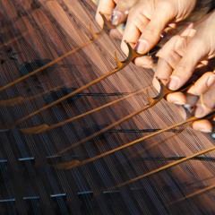 M A J E S I E M · Live session 14·12·23